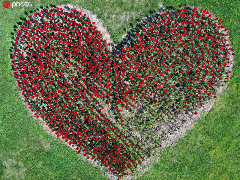 IC PhotoƷՈD(zhun)d