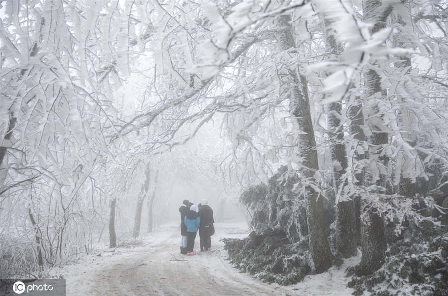 ICPhoto(qun)ƷՈD(zhun)d