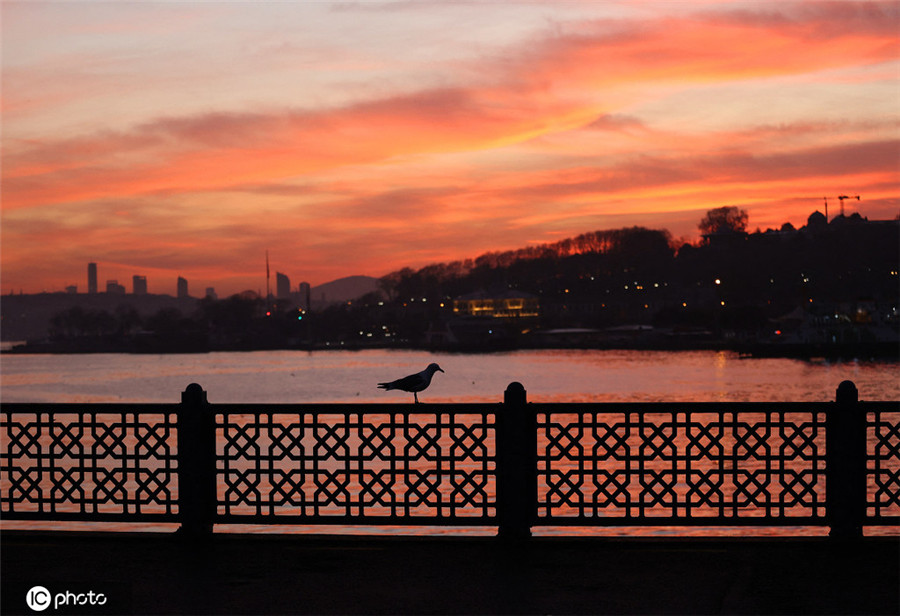 ICphoto(qun)ƷՈD(zhun)d