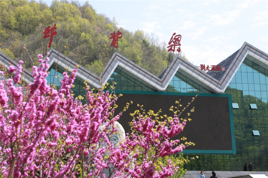 ţҼȻo(h)^(q)ЇмskD