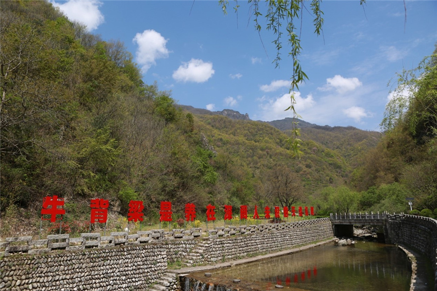 ţB(yng)|δRȻЇмskD