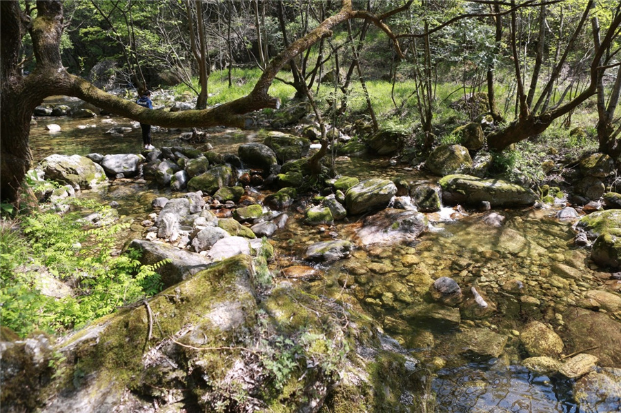 ţҼȻo(h)^(q)(ni)^ЇмskD