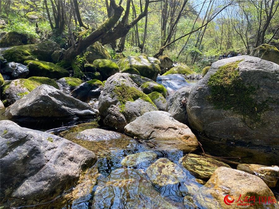 ţҼȻo^(q)W(wng) Ktz