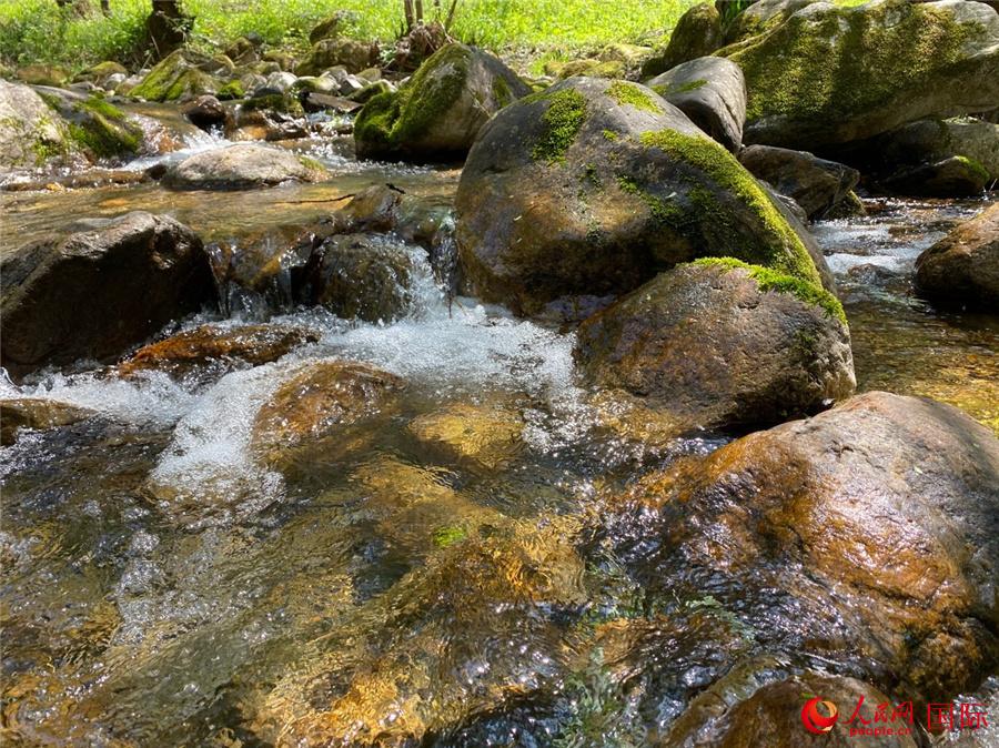 ţ(gu)Ҽ(j)Ȼo(h)^(q)(ni)ϪW(wng) Ktz