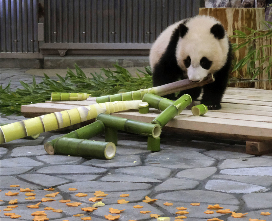 ҕXЇƷՈD(zhun)d