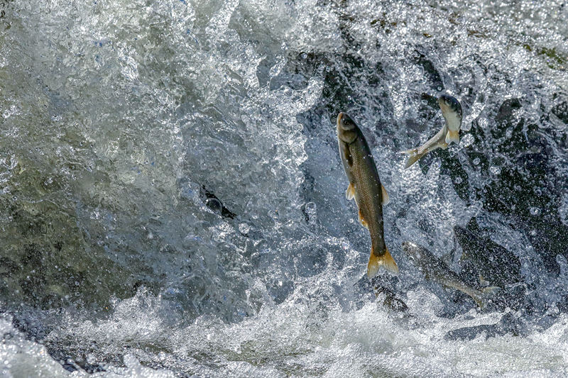 ҕXЇƷՈD(zhun)d