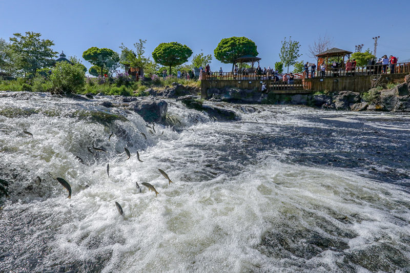 ҕX(ju)Ї(gu)(qun)ƷՈ(qng)D(zhun)d