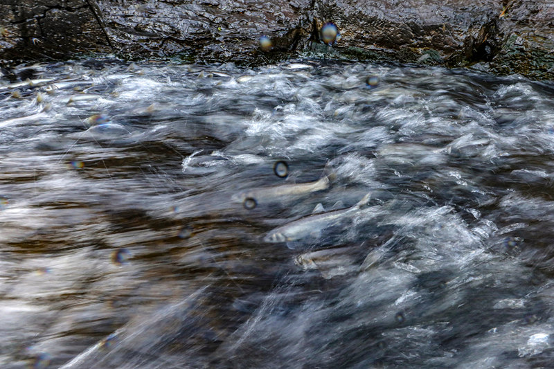 ҕXЇƷՈDd