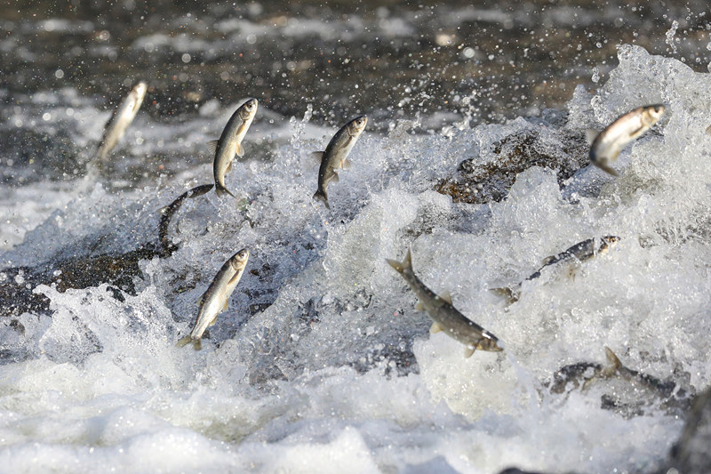 ҕXЇ(qun)ƷՈ(qng)D(zhun)d