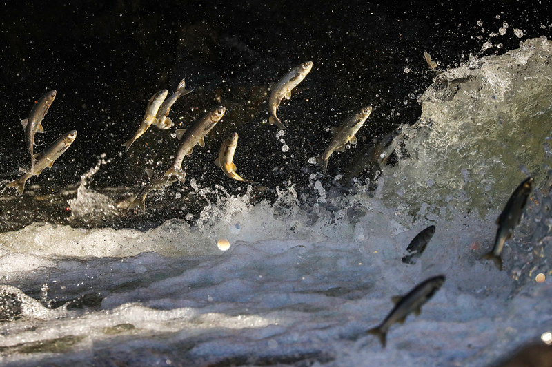 ҕXЇ(gu)(qun)ƷՈ(qng)D(zhun)d