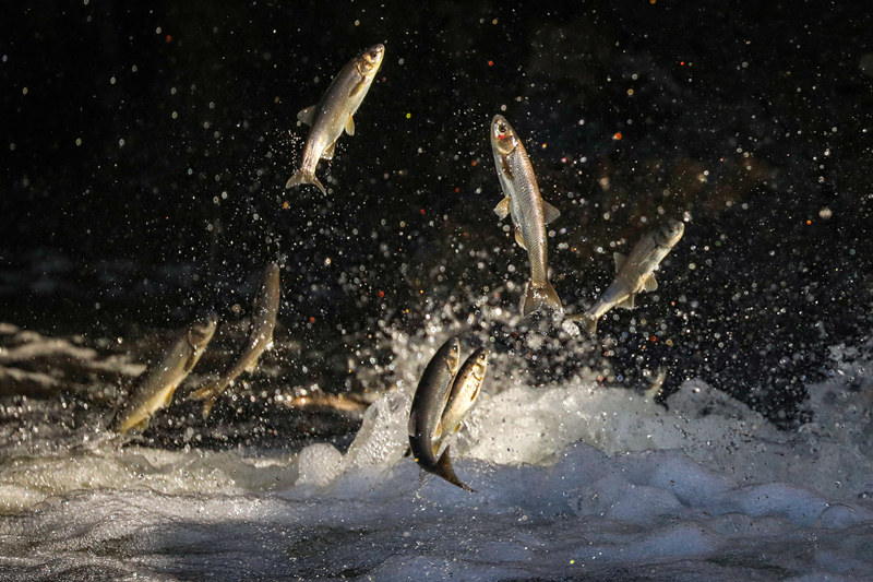 ҕX(ju)Ї(gu)(qun)ƷՈ(qng)D(zhun)d