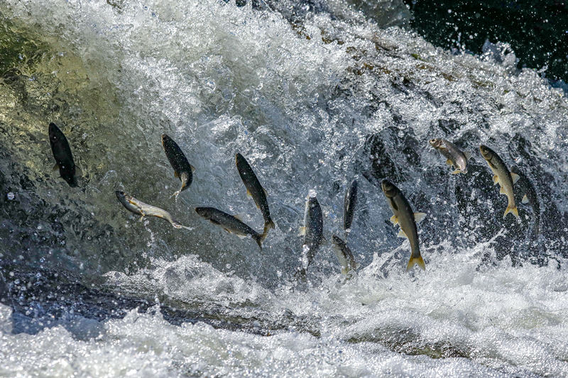 ҕX(ju)Ї(gu)(qun)ƷՈ(qng)D(zhun)d