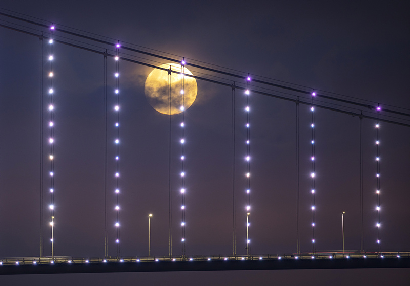 (dng)?sh)ؕrg526˹̹ȫʳ͡F(xin)(dng)?sh)ҹҕXЇ(qun)ƷՈD(zhun)d