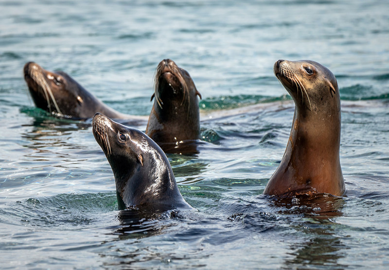 (dng)?sh)ؕr(sh)g524Ӣƿ˹أs˿Ұ@ĺ{@һ̎Y200fӢ^TľCO(sh)ʩҕXЇ(qun)ƷՈD(zhun)d