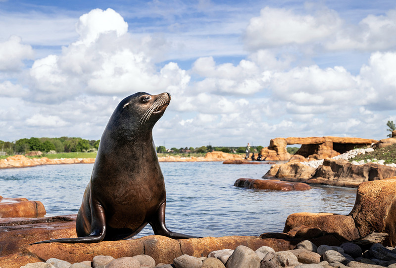 (dng)?sh)ؕr(sh)g524Ӣ(gu)ƿ˹s˿Ұ(dng)@ĺ{@һ̎Y200f(wn)Ӣ^TľCO(sh)ʩҕX(ju)Ї(gu)(qun)ƷՈ(qng)D(zhun)d