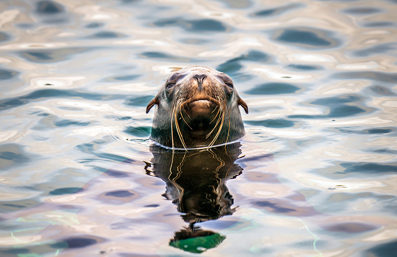 (dng)?sh)ؕr(sh)g524Ӣ(gu)ƿ˹s˿Ұ(dng)@ĺ{@һ̎Y200f(wn)Ӣ^TľCO(sh)ʩҕXЇ(gu)(qun)ƷՈ(qng)D(zhun)d