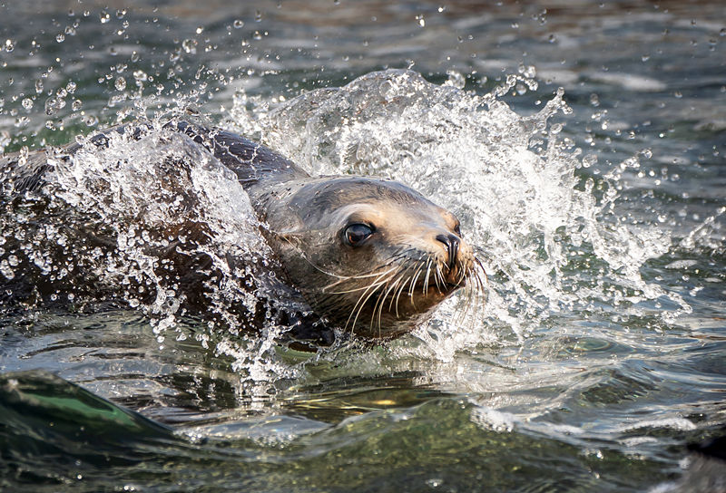 (dng)?sh)ؕr(sh)g524գӢƿ˹s˿Ұ(dng)@ĺ{@һ̎Y200fӢ^TľCO(sh)ʩҕXЇ(qun)ƷՈD(zhun)d