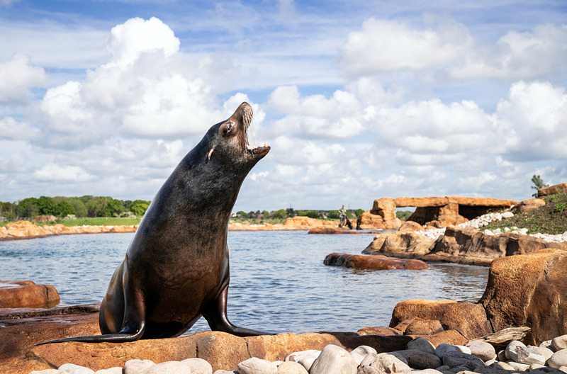 (dng)?sh)ؕr(sh)g524Ӣ(gu)ƿ˹s˿Ұ(dng)@ĺ{@һ̎Y200f(wn)Ӣ^(zhun)T(mn)ľCO(sh)ʩҕX(ju)Ї(gu)(qun)ƷՈ(qng)D(zhun)d