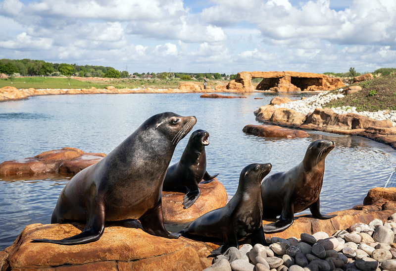 (dng)?sh)ؕrg524Ӣƿ˹s˿Ұ@ĺ{@һ̎Y200fӢ^TľCO(sh)ʩҕXЇ(qun)ƷՈD(zhun)d