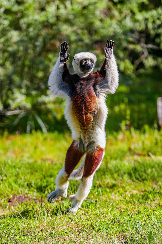 ҕX(ju)Ї(gu)(qun)ƷՈ(qng)D(zhun)d