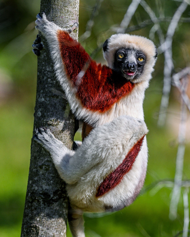 ҕXЇ(qun)ƷՈD(zhun)d