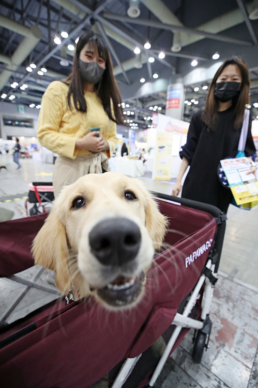 ؕrg2021530գnܵeСK-Pet FairмҕXЇƷՈDd