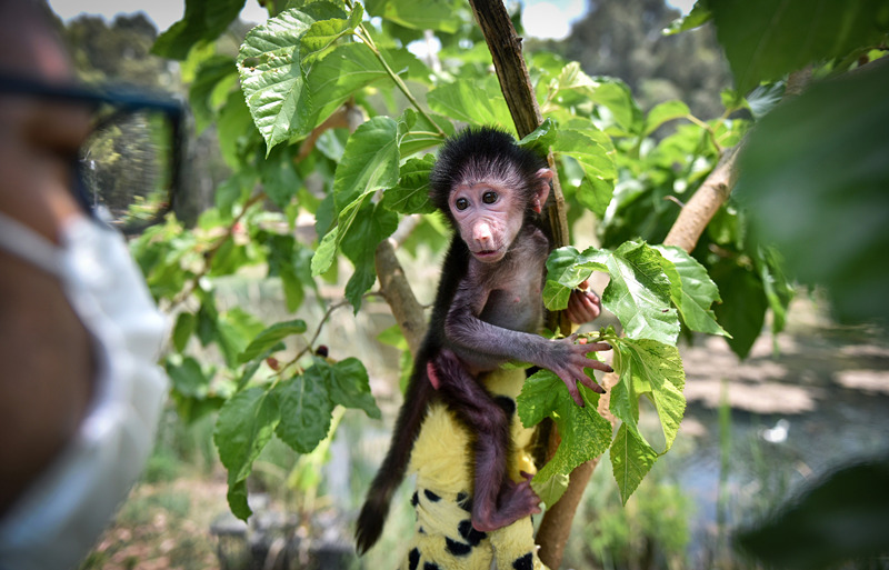 ҕXЇ(gu)(qun)ƷՈ(qng)D(zhun)d