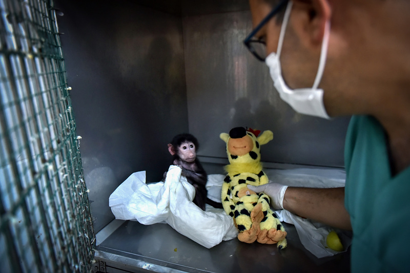 ҕXЇ(qun)ƷՈD(zhun)d