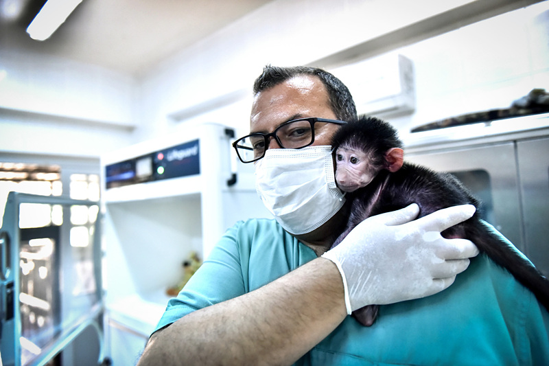 ҕXЇ(qun)ƷՈD(zhun)d