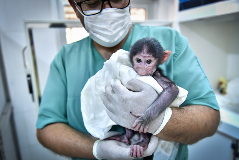 ҕX(ju)Ї(gu)(qun)ƷՈ(qng)D(zhun)d