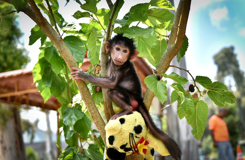 ҕXЇ(qun)ƷՈD(zhun)d