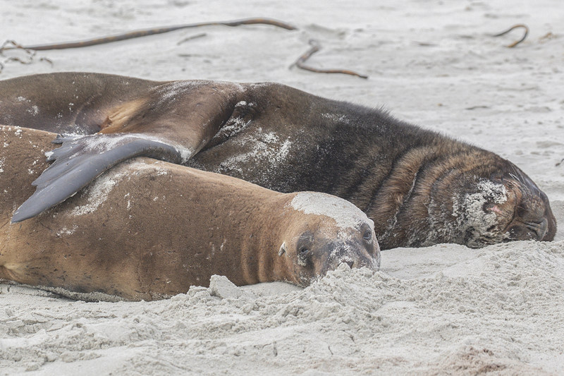 (dng)?sh)ؕr(sh)g2021226m_(d)ᶡ{ں̫ҕXЇ(qun)ƷՈD(zhun)d