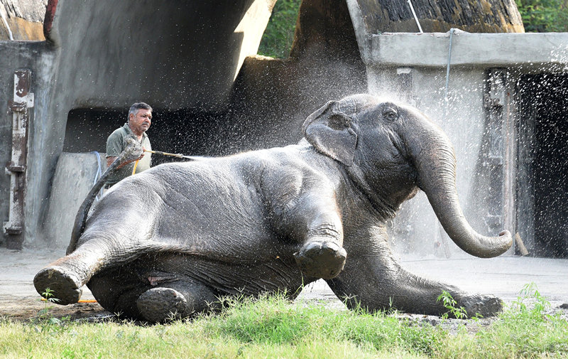 (dng)?sh)ؕrg2021327ӡ׶µ(dng)?sh)؄@ˆTo_¹Ӱ푱P(gun)]һԺԓ@41_ҕXЇ(qun)ƷՈD(zhun)d