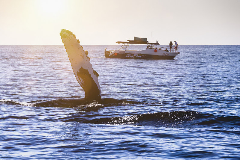 (dng)?sh)ؕrg2021110ī翨ʥR˹οڴ^p^LҕXЇ(qun)ƷՈD(zhun)d