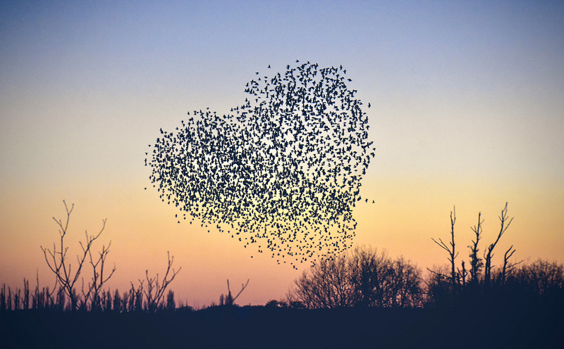 (dng)?sh)ؕr(sh)g202131Ӣ(gu)_ķr(sh)(dng)?sh)ؿwB(nio)Mː(i)ĵΠҕX(ju)Ї(gu)(qun)ƷՈ(qng)D(zhun)d