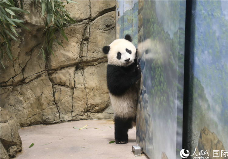 D9´؈̡СEW(wng)ӛ ־z