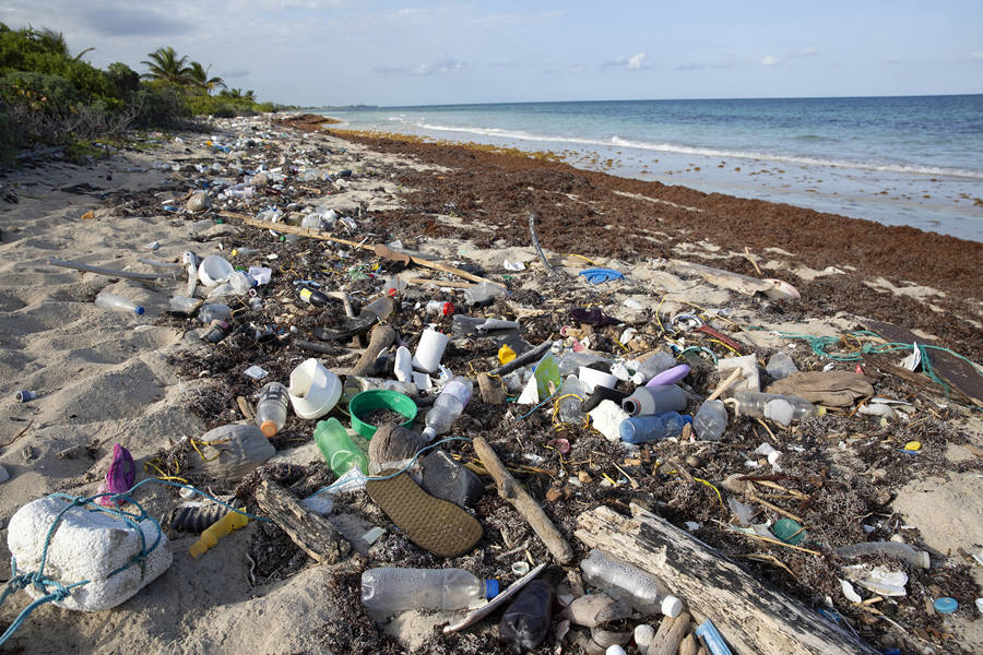 (dng)?sh)ؕr(sh)g202134ī{ѷeҕX(ju)Ї(gu)(qun)ƷՈ(qng)D(zhun)d