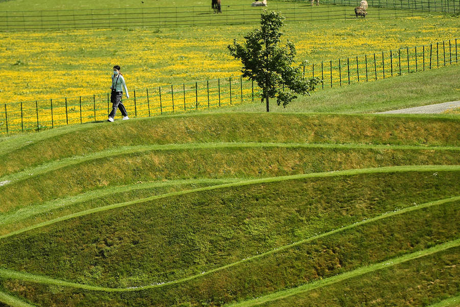 ҕXЇ(gu)(qun)ƷՈ(qng)D(zhun)d