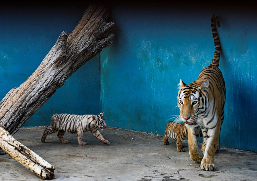 ҕXЇƷՈD(zhun)d