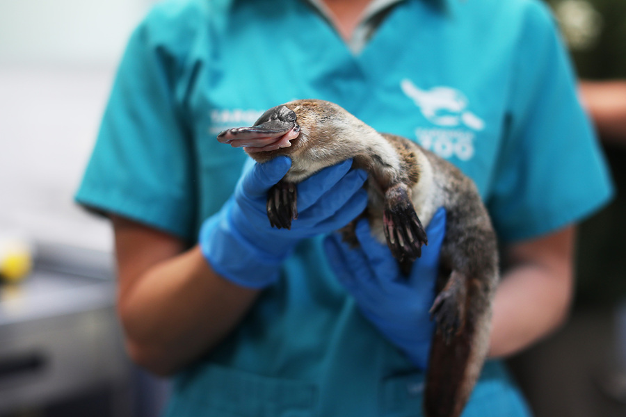 ҕXЇ(gu)(qun)ƷՈ(qng)D(zhun)d