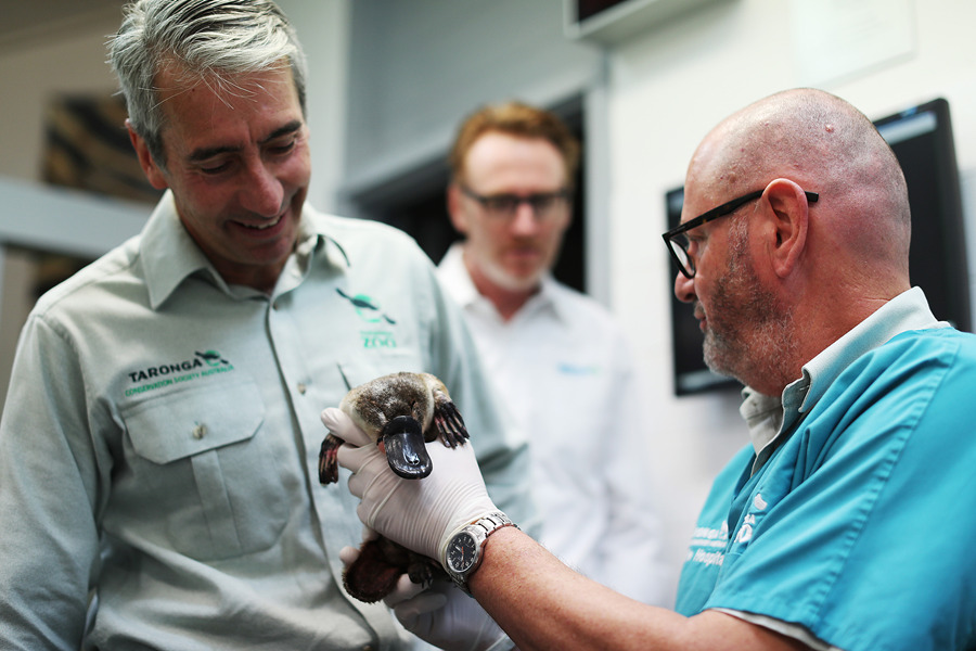 ҕXЇ(qun)ƷՈD(zhun)d