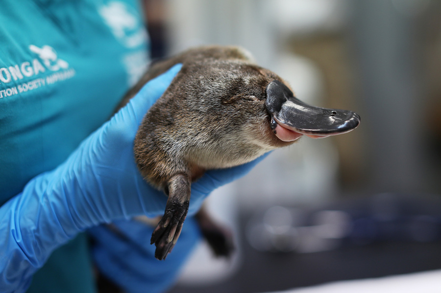 ҕXЇ(qun)ƷՈD(zhun)d