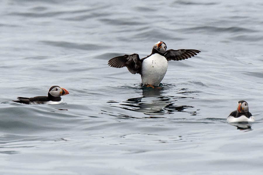 ?sh)ؕrg202168ƝˍuZۼڡߍuBo^(q)ҕXЇ(qun)ƷՈD(zhun)d