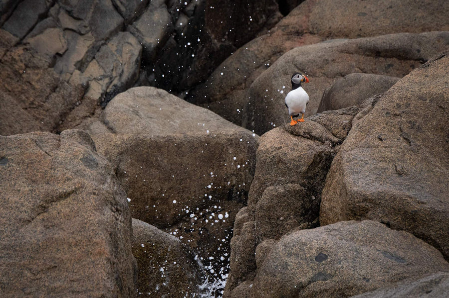 (dng)?sh)ؕr(sh)g202168ƝˍuZۼڡߍuBo(h)^(q)ҕXЇ(qun)ƷՈD(zhun)d