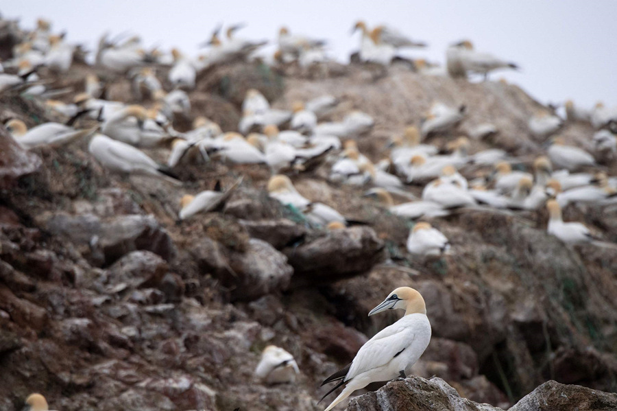 (dng)?sh)ؕr(sh)g202168գ(gu)ƝˍuZۼڡߍuBo(h)^(q)ҕXЇ(gu)(qun)ƷՈ(qng)D(zhun)d