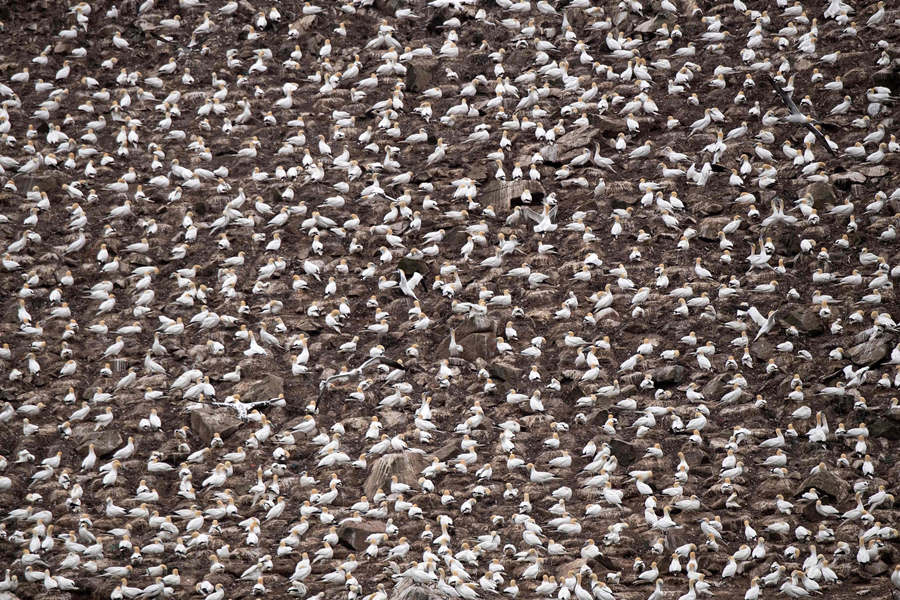 (dng)?sh)ؕrg202168գƝˍuZۼڡߍuBo(h)^(q)ҕXЇ(qun)ƷՈD(zhun)d