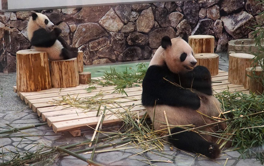 |IC(qun)ƷՈ(qng)D(zhun)d