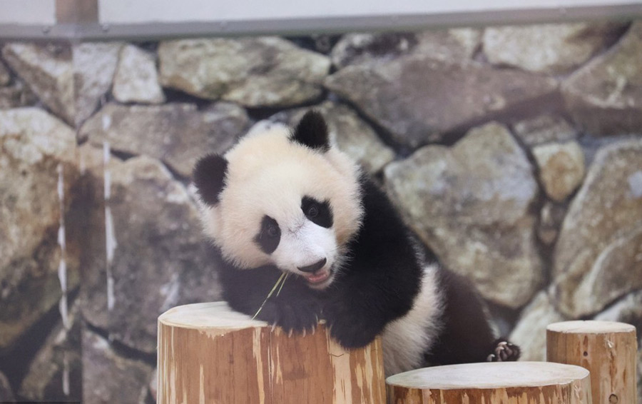 |IC(qun)ƷՈD(zhun)d