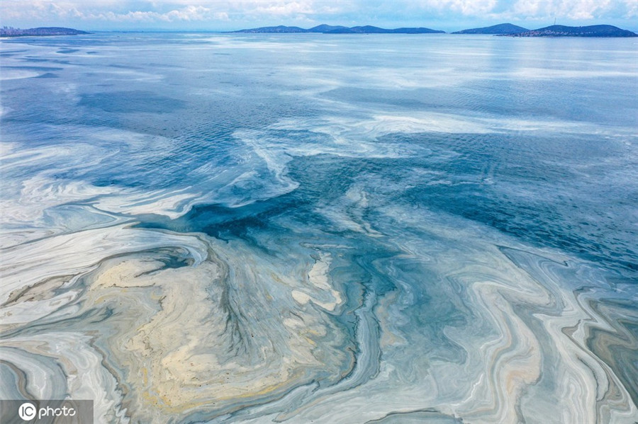 ICphoto(qun)ƷՈ(qng)D(zhun)d