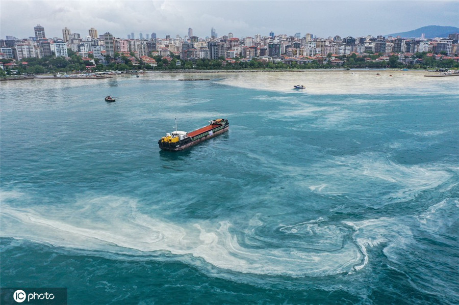 ICphoto(qun)ƷՈ(qng)D(zhun)d